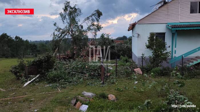 Tornado in the Pskov region - Pskov region, Tornado, Tornado, Rare, Video, Vertical video, Telegram (link), Longpost