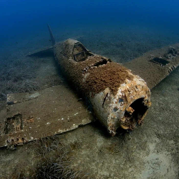 Sunken plane from World War II - Abandoned, Travels, the USSR, Airplane, The photo, Under the water