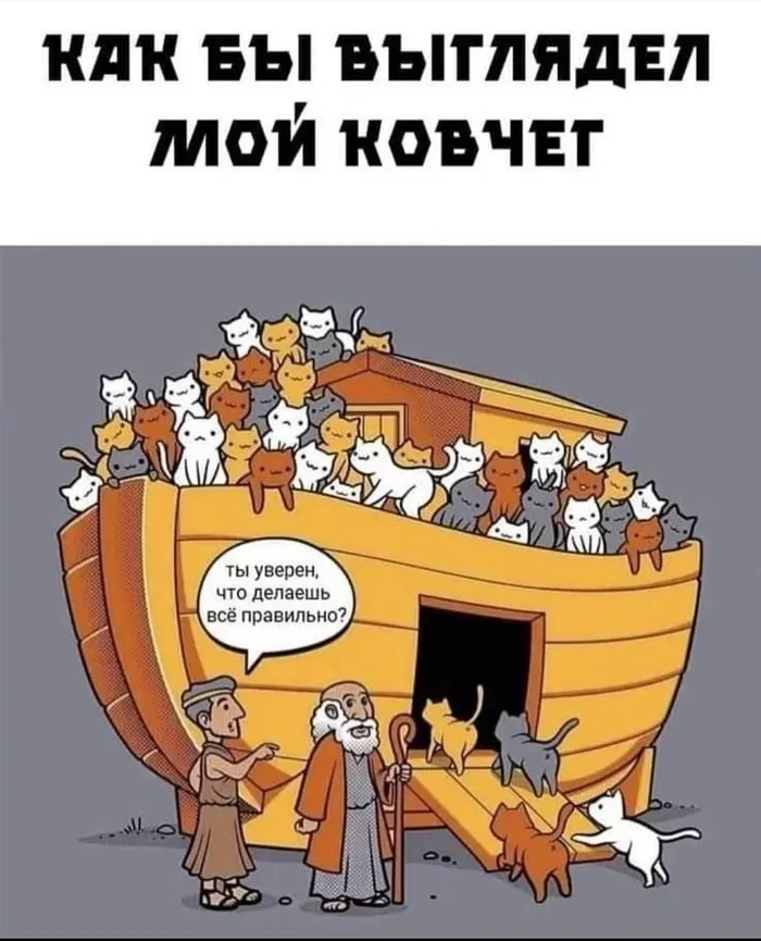 That's for sure - Noah's ark, cat, global flood, Picture with text