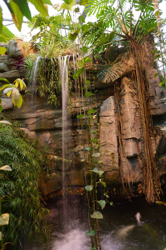 Воздух очень влажный и теплый. Как в тропическом лесу. Дочке очень понравилось, не хотела уходить.