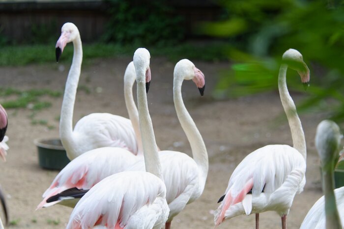 Очень много.