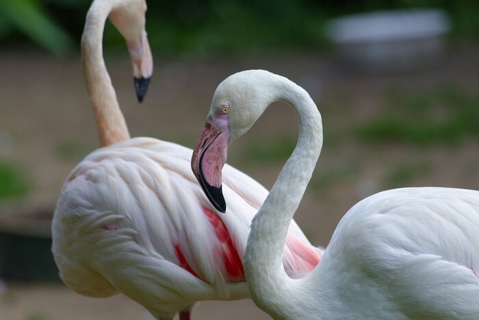 И их там много.