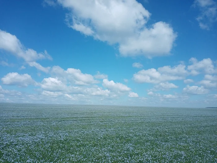 Linen - My, Flax, beauty, Field, Landscape, Sky, Clouds, The photo