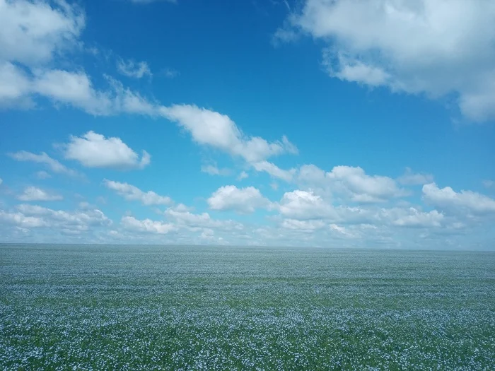 Linen - My, Flax, beauty, Field, Landscape, Sky, Clouds, The photo