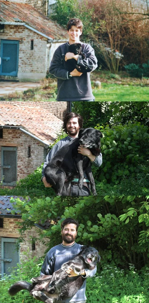 Three photos with your best friend: at 15, 25 and 30 years old - Reddit, Animals, Dog, Milota, Friend, The photo, Telegram (link), It Was-It Was