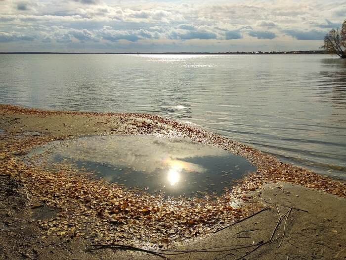 ����������� �����. ����: Elena Lebedeva