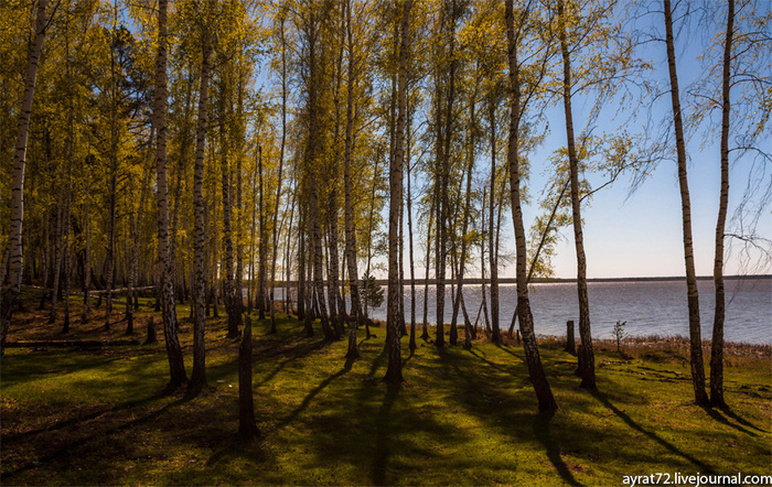 ����������� ���. ����: ����� ���������