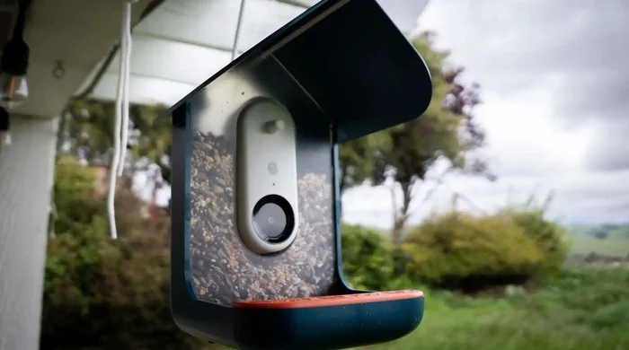 Feeder with video camera from Bird Buddy for $200 - Youtube, Birds, Trough, Idea, Video, YouTube (link), Longpost