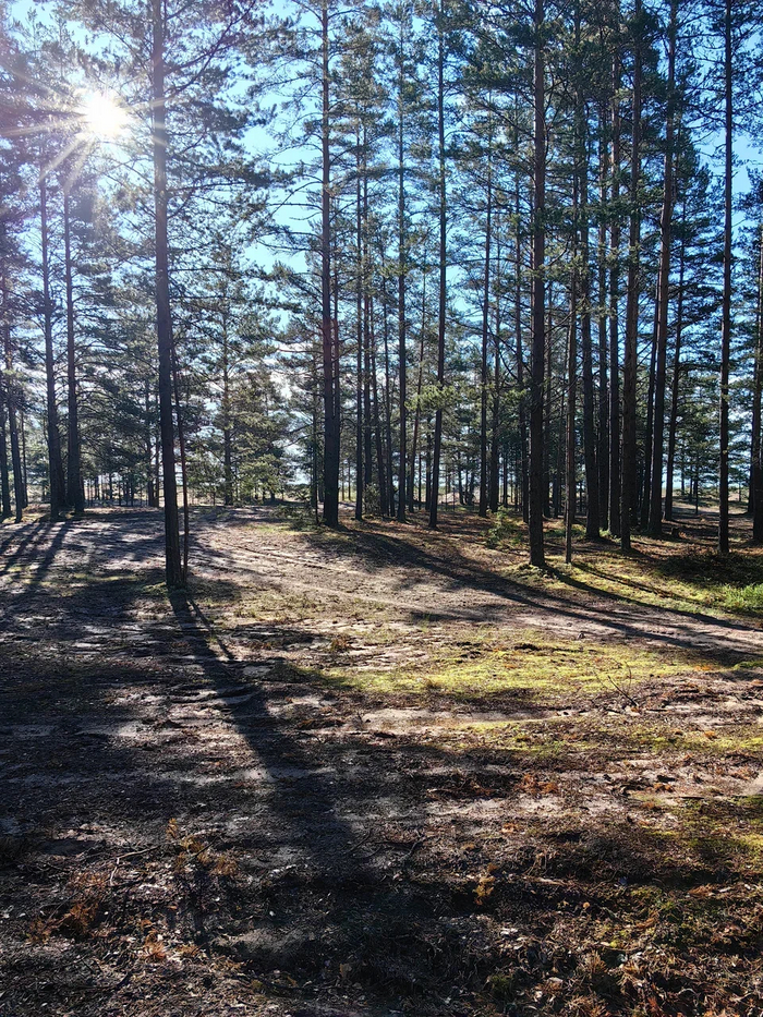 ���� � �������� ���� �� ������ ������