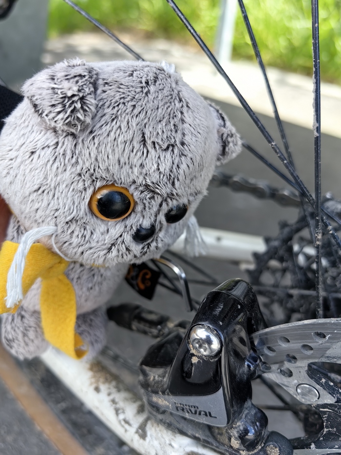 ������������ �������� ������� �������. ������� ���������� ����� �����. 