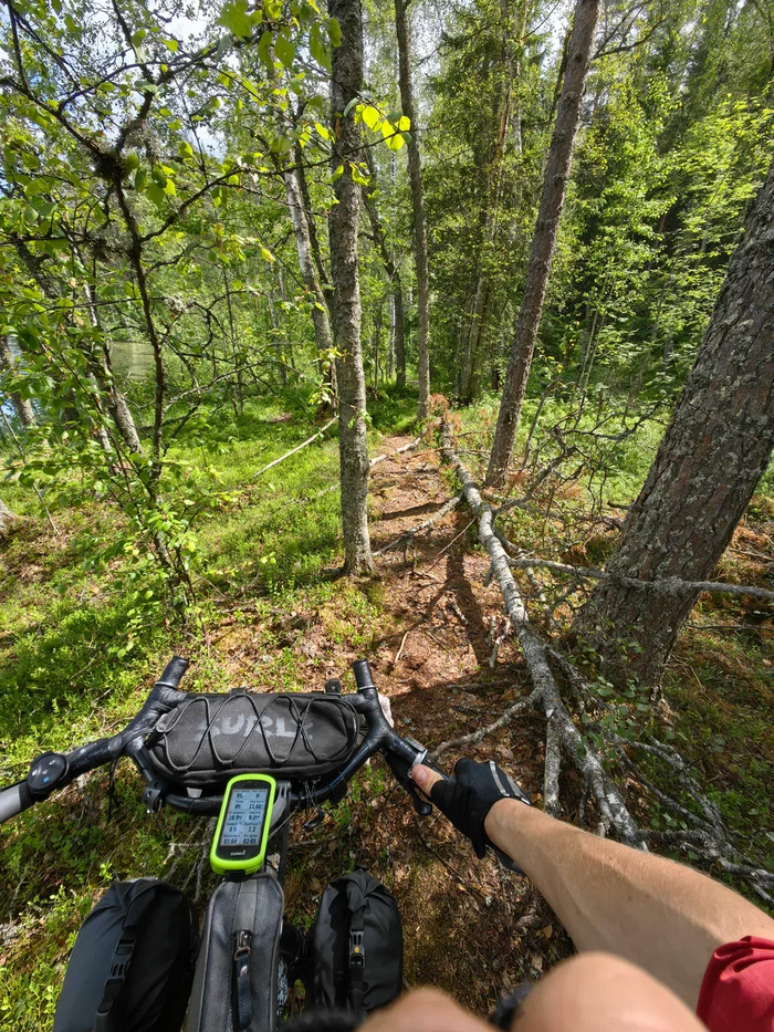 ������ ����� �����, ������������� �������. 