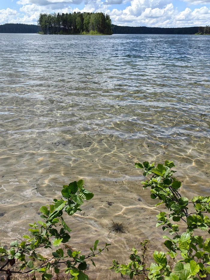 ���� ����� ������, ��� � ������. ����, ��� ��� �� ���� �������. 