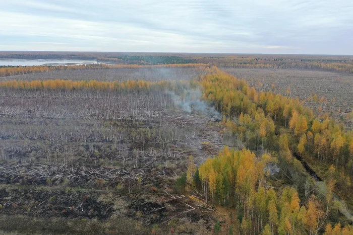 Peat fires are an underestimated problem in our country - My, Nauchpop, Informative, Swamp, Peat fires, Peatlands, Russian Geographical Society, Video, Soundless, Longpost