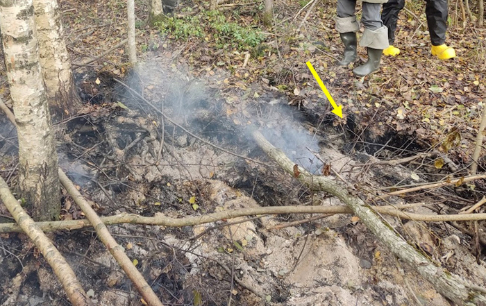 вот такая глубина прогорания торфа