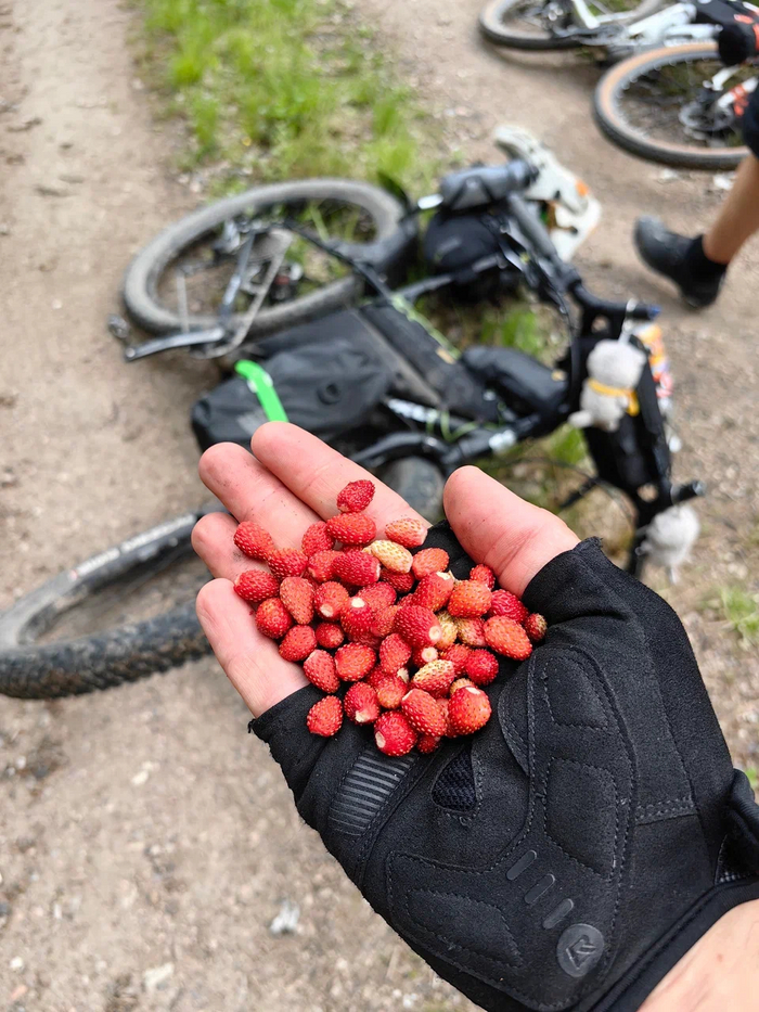 ��������� � �����