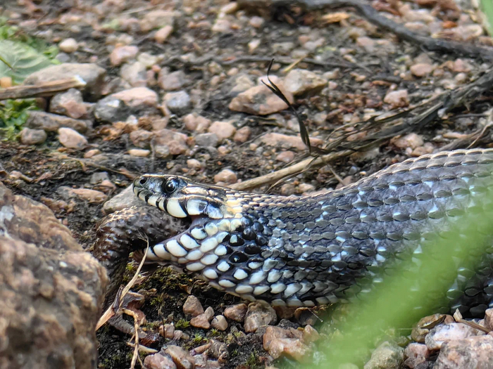 ����� ����� ��.