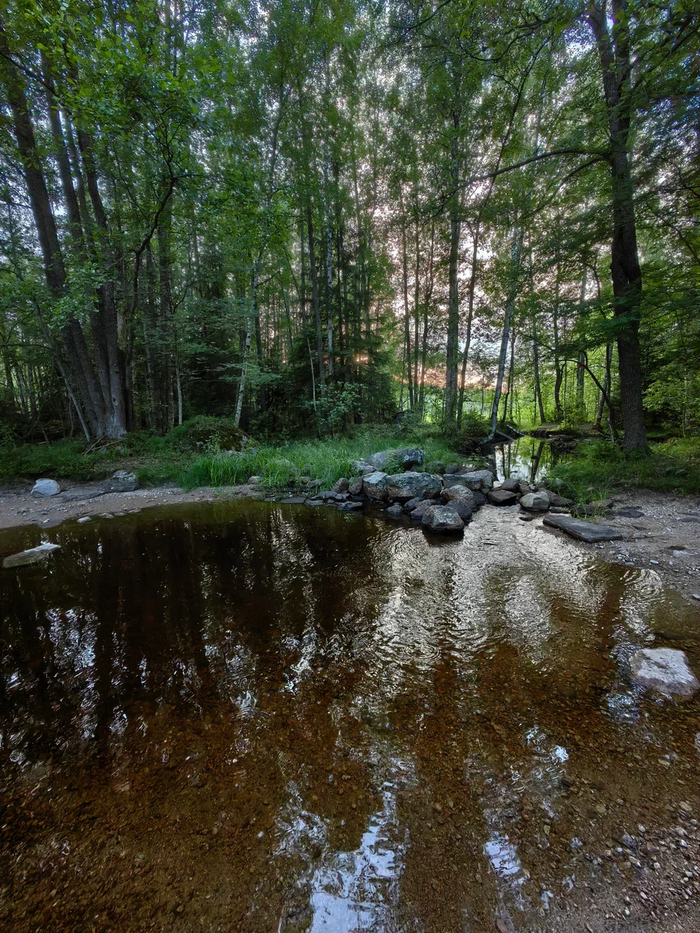 �������� ����. ���� �����. �� ������. 