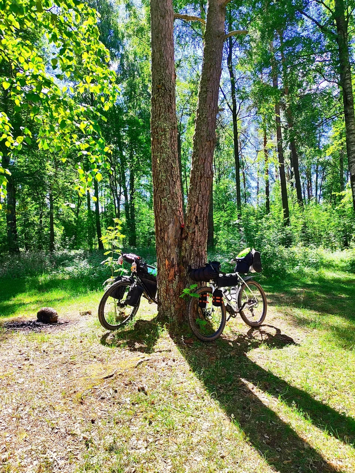 � ���� ����� �������.