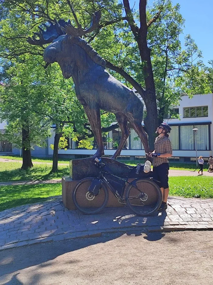 Сосново - Выборг. День четвёртый - Моё, Велопутешествие, Выборг, Ленинградская область, Велосипед, Байкпакинг, Путешествие по России, Велосипедист, Природа, Туризм, Длиннопост