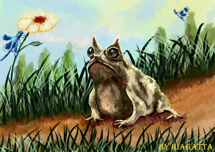 Summer frog - My, It Is Wednesday My Dudes, Wednesday, Drawing on a tablet, Digital drawing, Drawing, Toad