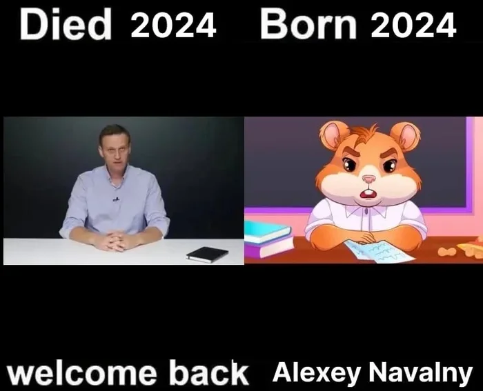 I don’t know whether it was or not, but here it is... Sorry... - Hamster Kombat, Alexey Navalny, Memes, VKontakte (link)