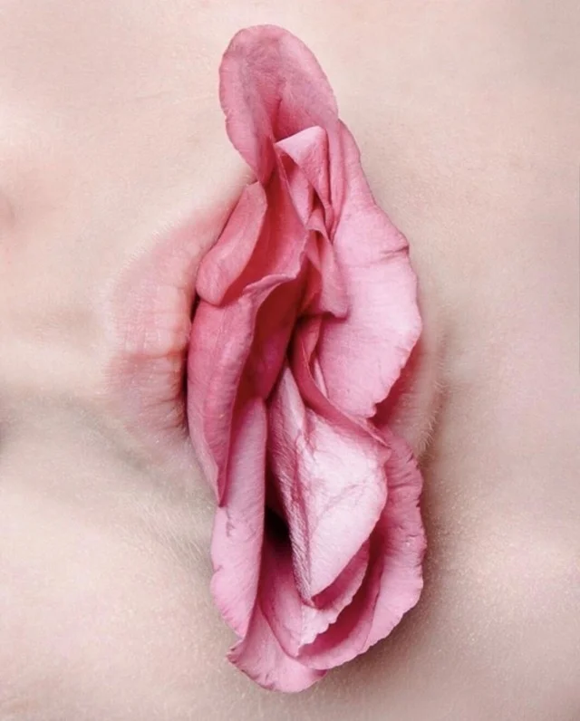 Just rose petals in your mouth... - the Rose, Petals, Flowers, Mouth, Lips, It seemed, Girls, Sarcasm, Seems, Pareidolia, Humor, Irony, Illusion, Optical illusions