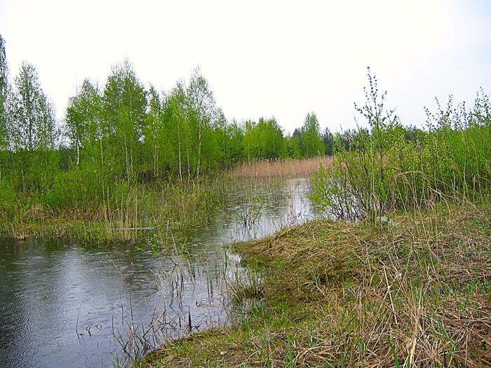 Весенний пейзаж