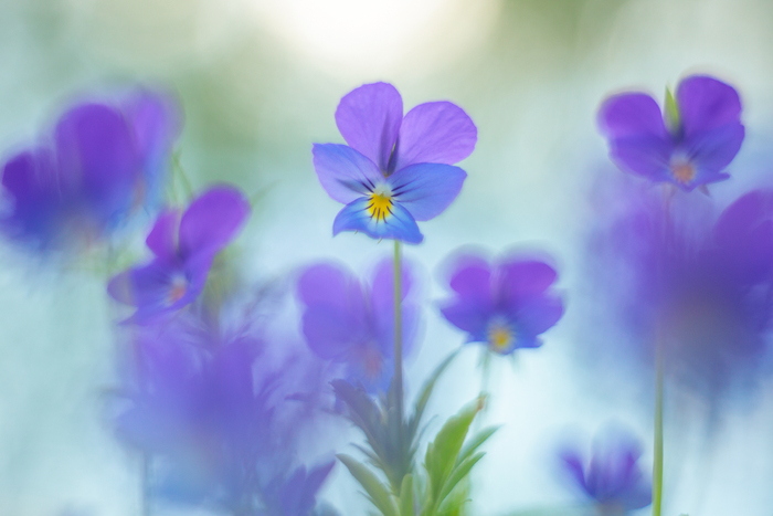 -8.    ,        ,   .     