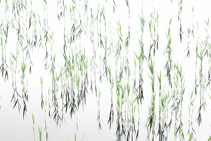   . ,     ,        - .