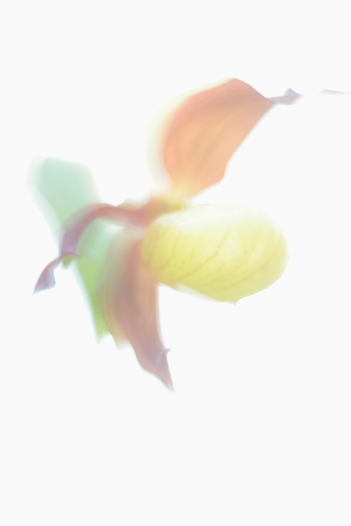 -8,  . , - ,   ,        ,         ,   ""