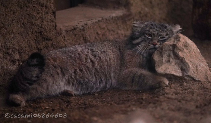 Шея затекла...