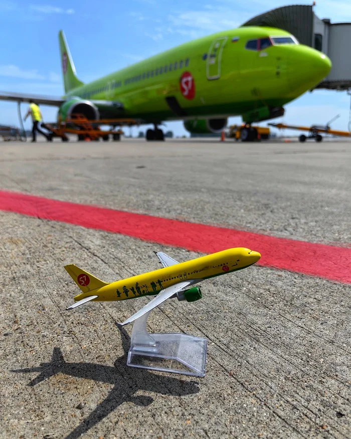 A world of green - My, S7 AirSpace Corporation, S7 Airlines, Boeing, Models, Airplane, Aviation, civil Aviation, The photo, Mobile photography, Spotting, Sochi