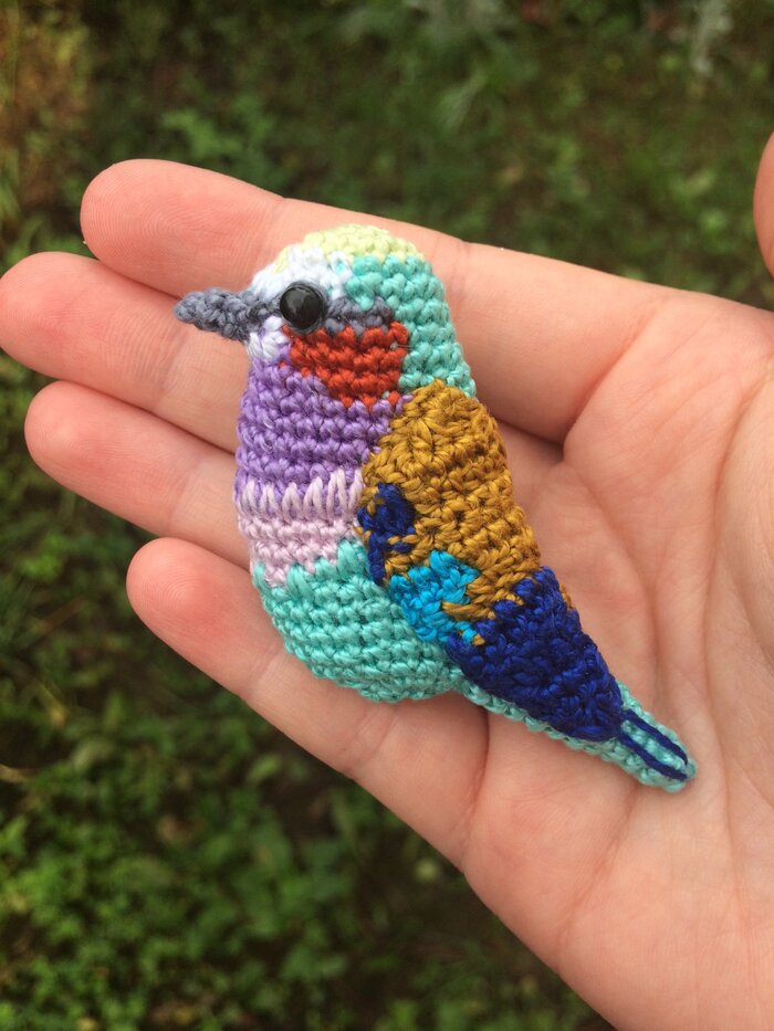 ������������ �����������, ��� �����