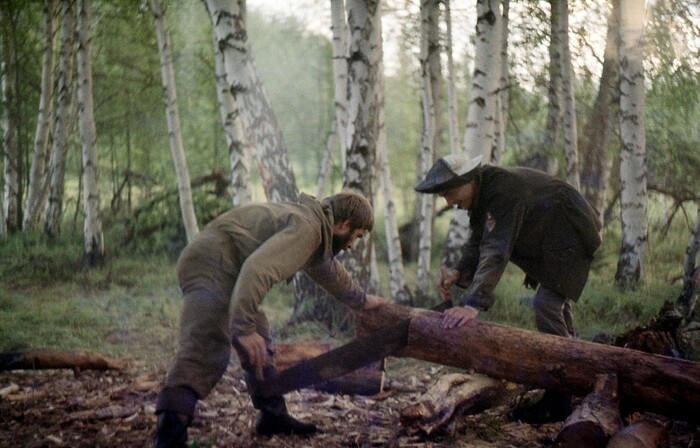   -      ,    , ,   .    "-2" -     .