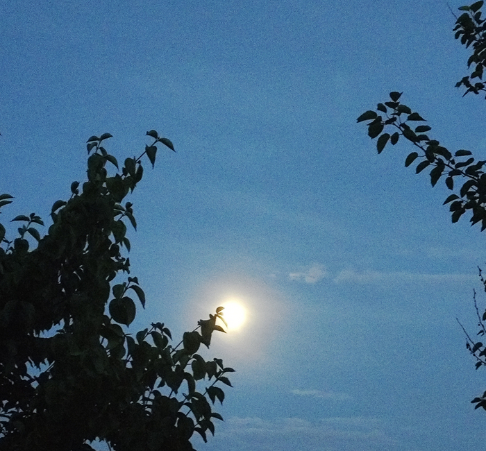 ��������� �� �������� � ���?