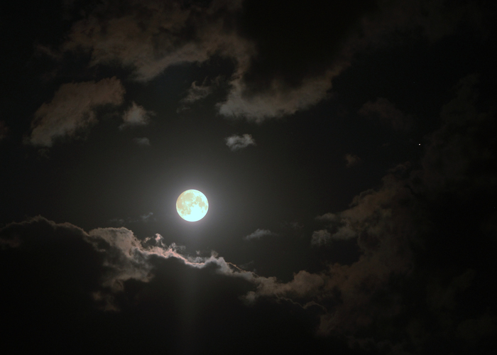 Почти полная луна