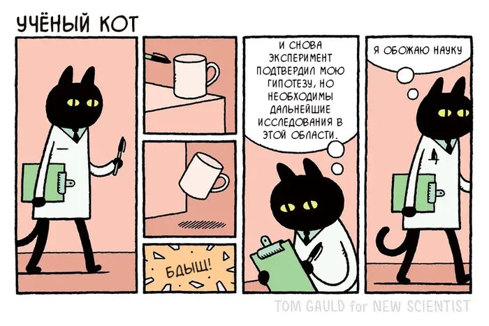 Experimenter - Comics, Tom gauld, cat, Translated by myself