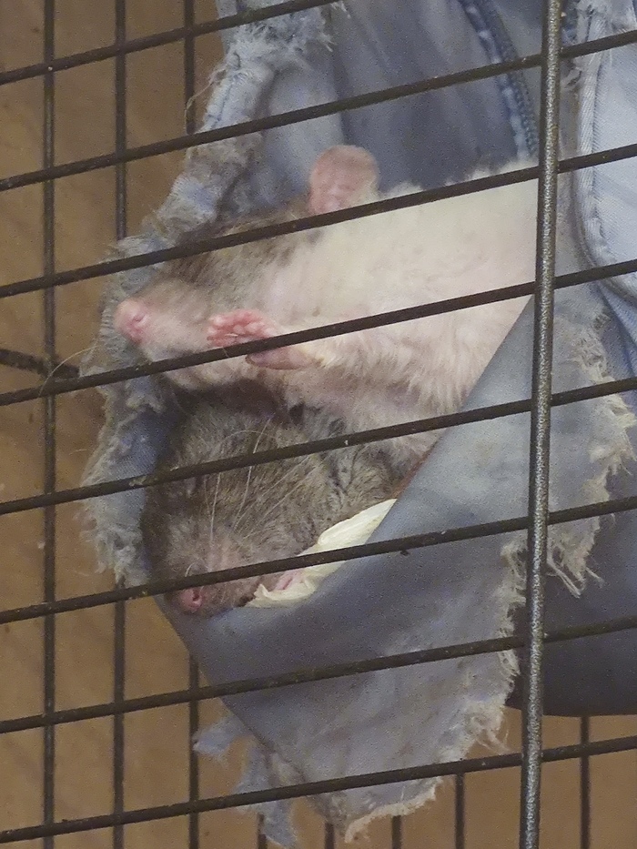   , ,  , , 