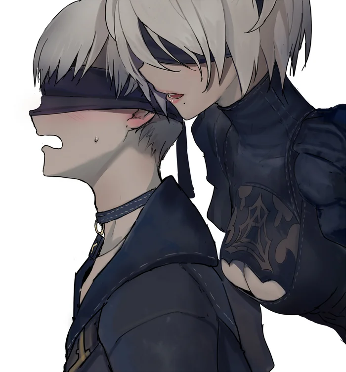 Nier - Art, Games, NIER Automata, Yorha unit No 2 type B, Yorha unit no 9 type S