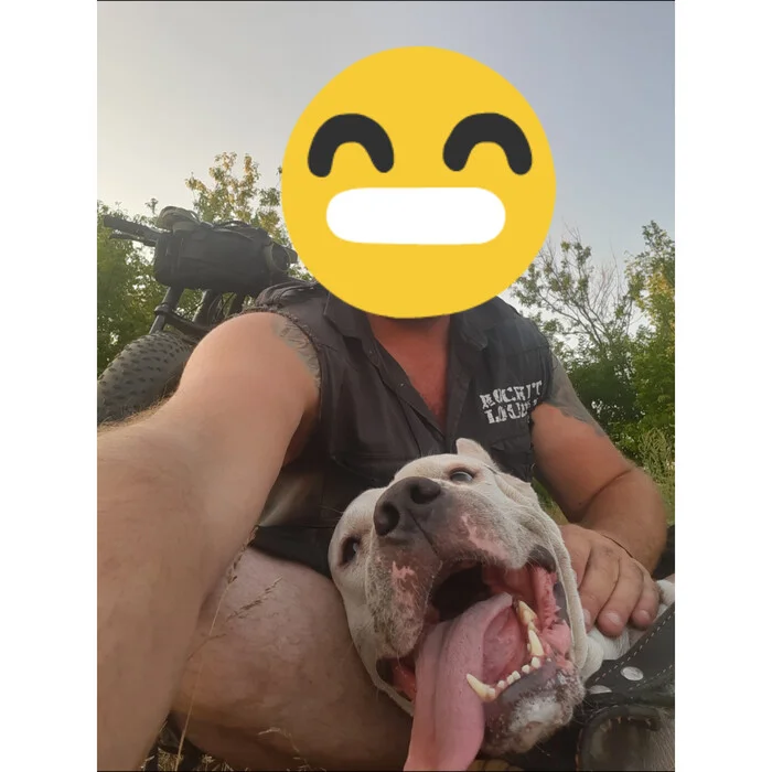 Inspired by the post “There are three non-humans in Rudny...” about their owners’ dogs, etc. Story - Dog, Aggression, cat, Great Dane of Argentina, Gossip, Mat, Longpost