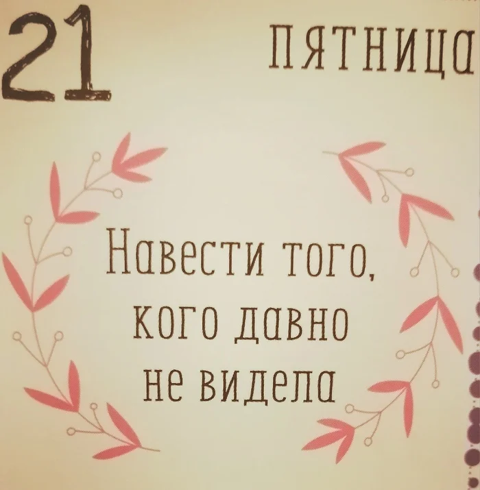 Вайб дня от 21 июня - Моё, Календарь, Кот учёный, Длиннопост