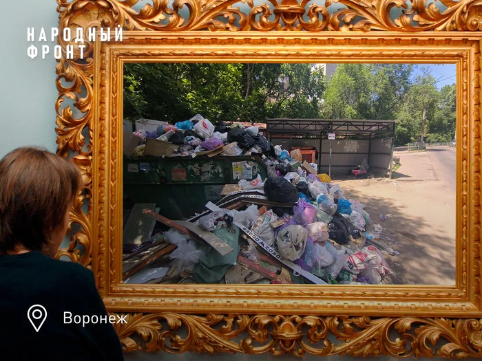 The apotheosis of garbage reform - My, Officials, Voronezh, Housing and communal services, Garbage, Dump, House, Stench, Lawlessness, The photo, Negative, Humor