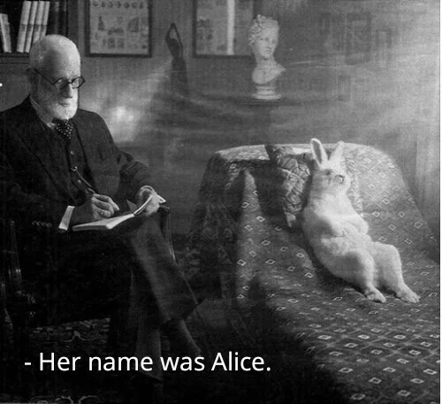 The rabbit recovers its psyche after Alice - Humor, Irony, Sarcasm, Girls, Women, Психолог, Psychology, Psychotherapy, Psychological help, Psychological trauma, Alice in Wonderland, Rabbit, Emotional burnout, Anxiety, Depression, Psychiatry, Fiction, Fictional characters, Nerves