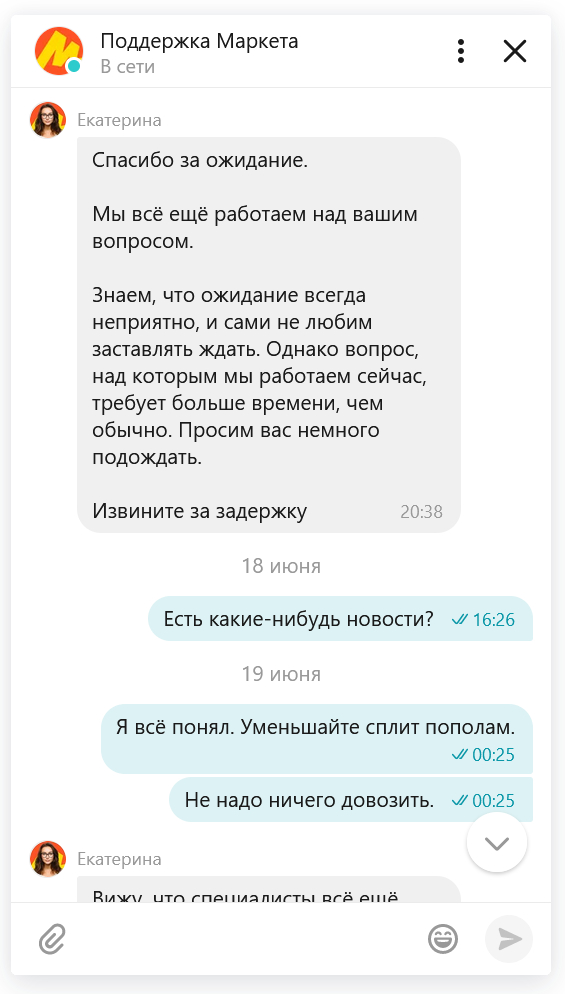 Yasha Market. Catherine... - My, Yandex Market, Correspondence, Idiocy, Support service, Review, Clients, Longpost