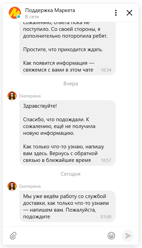 Yasha Market. Catherine... - My, Yandex Market, Correspondence, Idiocy, Support service, Review, Clients, Longpost