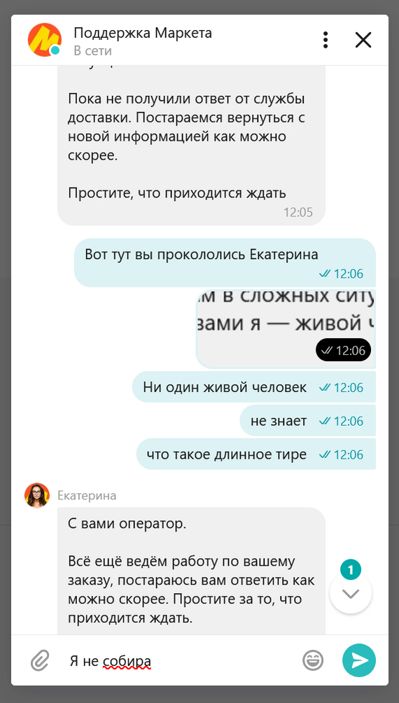 Yasha Market. Catherine... - My, Yandex Market, Correspondence, Idiocy, Support service, Review, Clients, Longpost