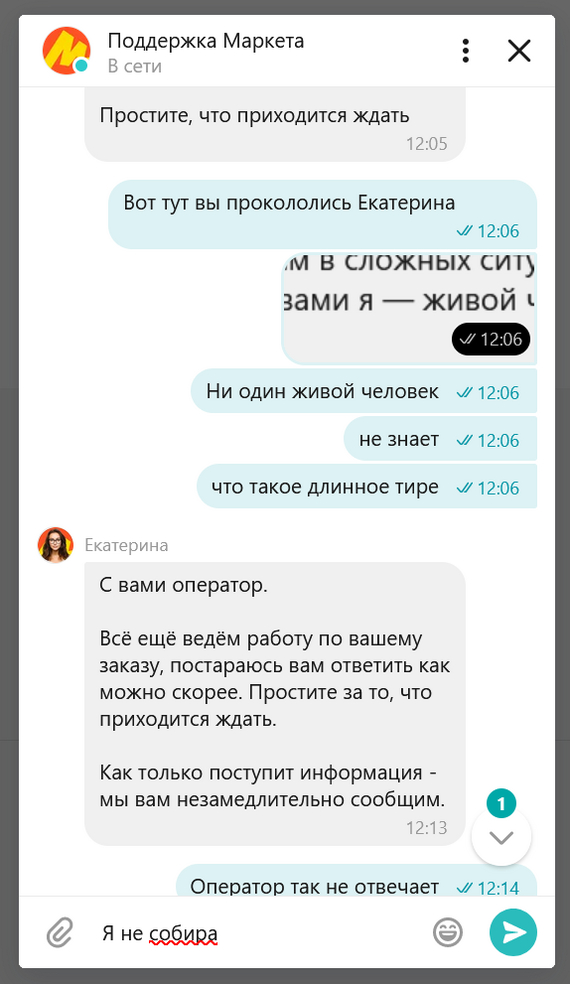 Yasha Market. Catherine... - My, Yandex Market, Correspondence, Idiocy, Support service, Review, Clients, Longpost