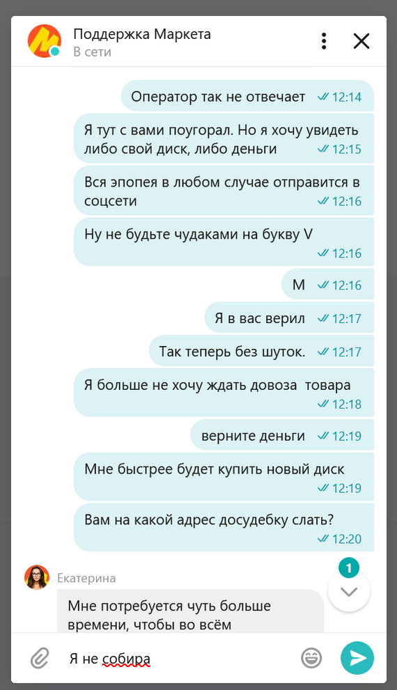 Yasha Market. Catherine... - My, Yandex Market, Correspondence, Idiocy, Support service, Review, Clients, Longpost