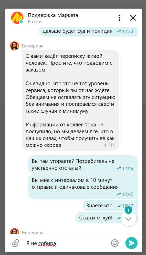 Yasha Market. Catherine... - My, Yandex Market, Correspondence, Idiocy, Support service, Review, Clients, Longpost