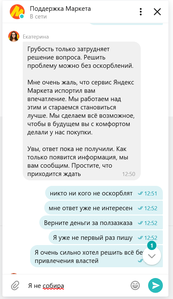 Yasha Market. Catherine... - My, Yandex Market, Correspondence, Idiocy, Support service, Review, Clients, Longpost